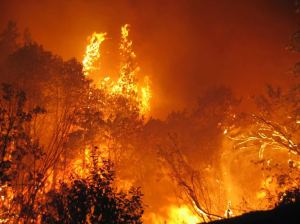 The-2009-Black-Saturday-fires-resulted-in-Australias-highest-ever-loss-of-life-from-a-bushfire
